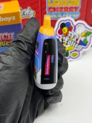 Backpackboyz 2G Disposable 