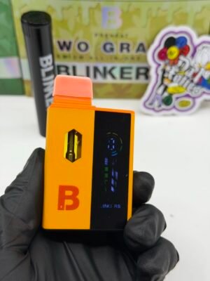 Blinkers Flip 2G Disposable 