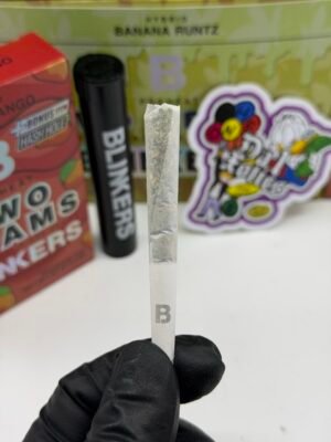 Blinkers Flip 2G Disposable