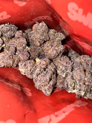 Sweetz Exotic Sushi Bar Edition 