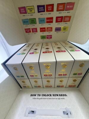 Big Chief Duo V3 2G Disposable