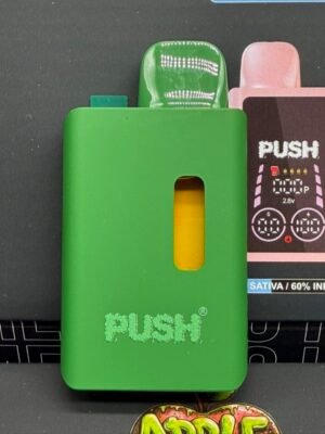 Push 2 Gram Disposable