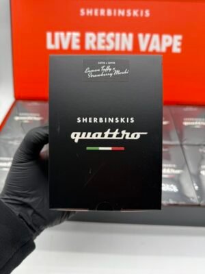 Sherbink Live Resin 2G Disposable Vape